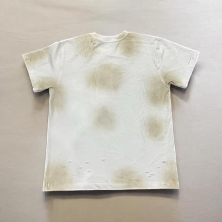 Hollywood Stars Tee